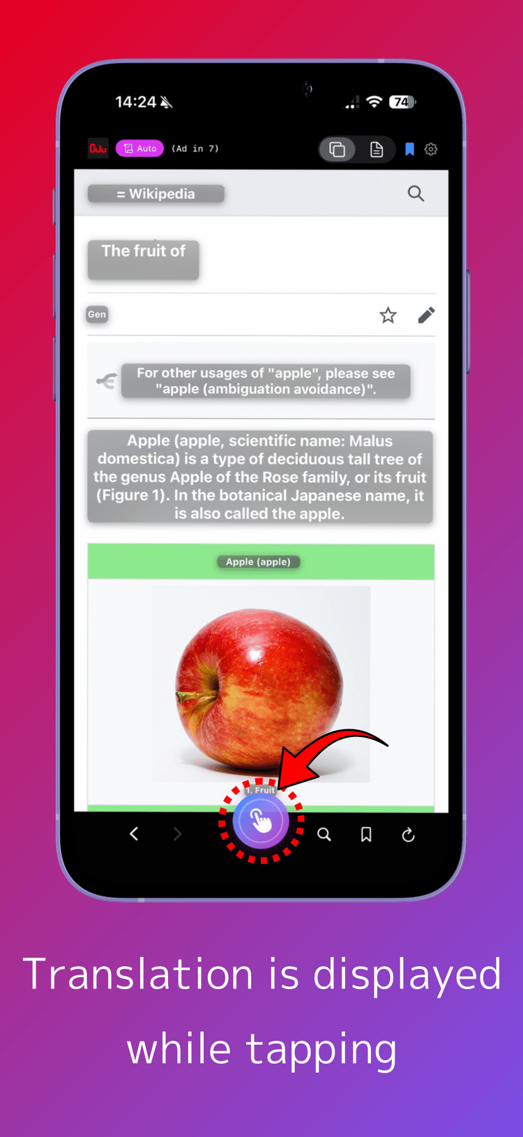 Translation is displayed while tapping